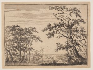  by Adriaen Hendricksz. Verboom