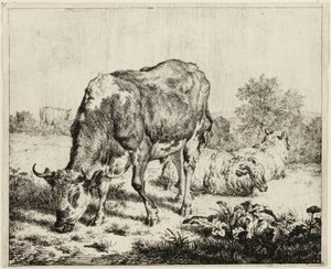  by Adriaen van de Velde