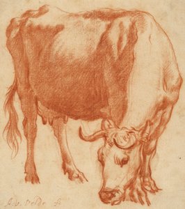 Otlayan bir inek, c.1663 (Kırmızı tebeşir çizimi)