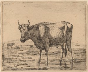 Suda Duran Boğa by Adriaen van de Velde