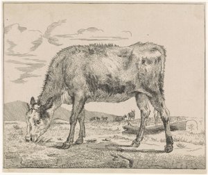 buzağı otlatma Hayvancılık (dizi adı) by Adriaen van de Velde