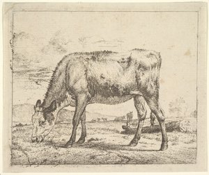 Farklı Hayvanlardan Otlayan Buzağı, 1658. by Adriaen van de Velde