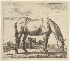 Farklı Hayvanlardan Otlayan At. by Adriaen van de Velde