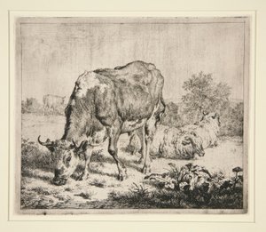 Sığır Böreği ve Üç Koyun by Adriaen van de Velde