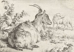 Yalancı keçi, 1670 by Adriaen van de Velde