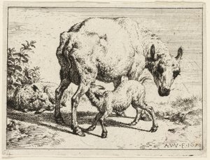 Lamba by Adriaen van de Velde