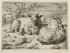  by Adriaen van de Velde