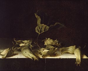 Fındıklı Natürmort, 1696 (kağıt üzeri yağlı boya)