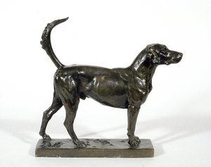 Hound 