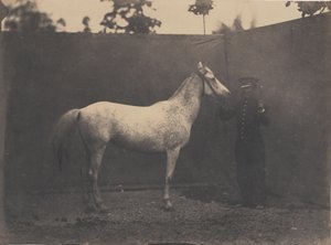Paskalin, yaklaşık 1855-60.