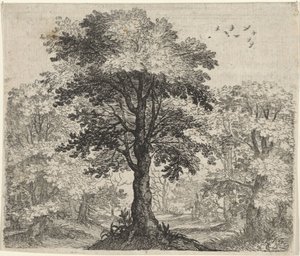 Karaağaç ve Meşe Masalı by Egidius  Sadeler (II)