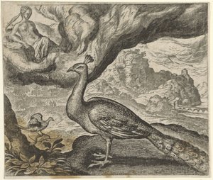 Tavus Kuşu ve Bülbül Masalı by Egidius  Sadeler (II)