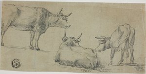  by Aelbert Cuyp