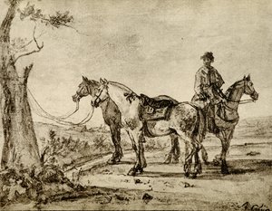 üç at by Aelbert Cuyp