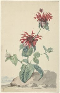 Peyzajda Kırmızı Bergamot by Aert Schouman (circle of)