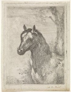 at kafası by Aert Schouman (signed by artist)