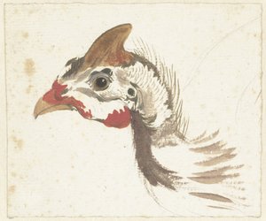 Miğferli Guineafowl Başkanı by Aert Schouman