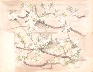 elma çiçekleri by Agnes Slott Møller