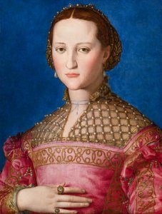 Toledo'lu Eleanor'un Portresi, c.1543 by Agnolo Bronzino