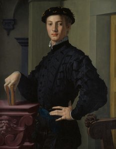 Genç Bir Adamın Portresi, 1530