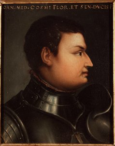 Jean de Medici dit Jean des Bands Noires (Giovanni dalle Bande Nere) (1421-1463) condottiere (İtalyan condottiero) Portresi tarafından Allori Angelo di Cosimo dit Bronzino (1503-1572) 16. yüzyıl Güneş 15x12 cm Saray Medici-Riccardi (Medici) Riccardi) F. by Agnolo Bronzino