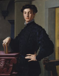 Bir Genç Adamın Portresi, c.1530 (tahta üzerine yağlı boya) by Agnolo Bronzino