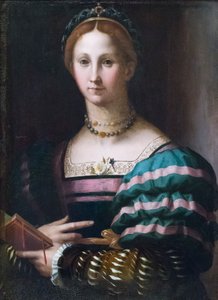 bir bayanın portresi by Agnolo Bronzino