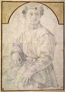 Udlu genç bir adam için çalışma by Agnolo Bronzino