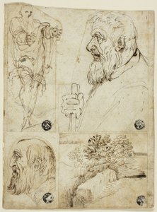  by Agostino Carracci