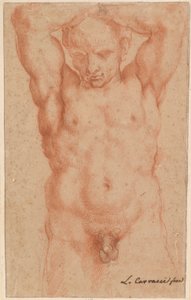 erkek çıplak by Agostino Carracci