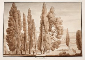 Villa d'Este, 1833 (kahverengi cilalı gravür) by Agostino Tofanelli