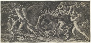 Het karkas The stregozzo by Agostino Veneziano
