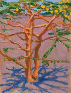  by Akseli Valdemar Gallen-Kallela