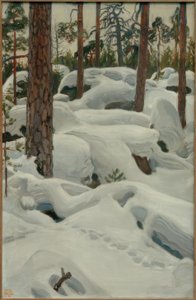 vaşak in by Akseli Valdemar Gallen-Kallela