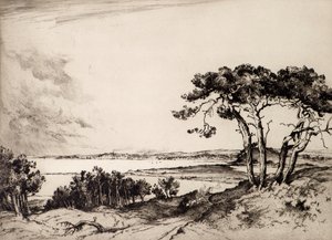 Havuz (aşındırma) by Albany E. Howarth