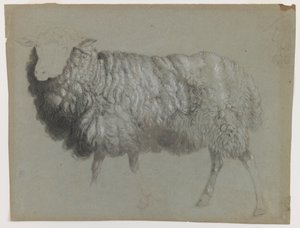 Bir Ewe çalışması, c.1855 (gri-yeşil kağıt üzerinde grafit, pastel boya ve tebeşir) by Albert Bierstadt