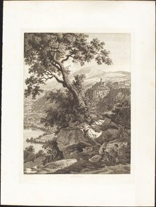 nemi