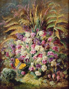Çan Heather, 1877 by Albert Durer Lucas
