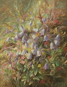 Harebells ve diğer Woodland Çiçekleri ve Otları by Albert Durer Lucas