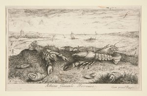 Astacus flurialis L by Albert Flamen