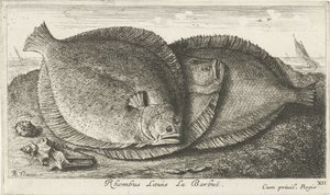 Sahilde üç civciv Rhombus Laeuis La Barbuë (nesne üzerindeki başlık) Balık ve diğer deniz canlıları - tuzlu su üçüncü serisi (dizi başlığı) Poissons de mer (dizi adı) by Albert Flamen