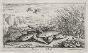 Tatlı Su Balığı, Bölüm II: Epelanus, L'Esplan by Albert Flamen