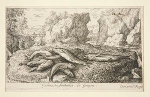 Gabius veya fundulus Le Goujon by Albert Flamen