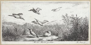 Yalıçapkını (Alcedo) by Albert Flamen