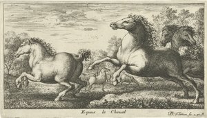 Atlar Equus le Cheval (nesne üzerindeki başlık) Farklı hayvan türleri (dizi başlığı) by Albert Flamen