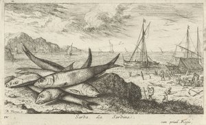 Sahilde Sardalya Sarda, La Sardalya. (nesne üzerindeki başlık) Balıklar ve diğer deniz canlıları - tuzlu su ilk seri (dizi başlığı) Divers Especes de Poissons de mer (dizi başlığı) by Albert Flamen