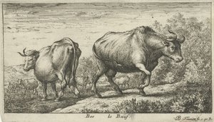 boğalar Bos le Boeuf (nesne üzerindeki başlık) Farklı hayvan türleri (dizi başlığı) by Albert Flamen