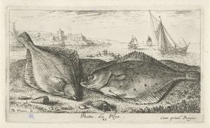 Sahilde iki yassı balık psetta. La Plye. (nesne üzerindeki başlık) Balık ve diğer deniz canlıları - tuzlu su ikinci serisi (dizi başlığı) Poissons de mer (dizi adı) by Albert Flamen
