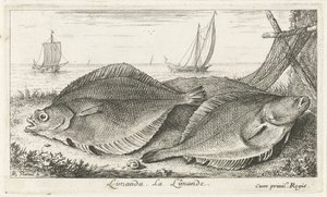 Sahilde iki dabs limanda. La Limande. (nesne üzerindeki başlık) Balık ve diğer deniz canlıları - tuzlu su üçüncü serisi (dizi başlığı) Poissons de mer (dizi adı) by Albert Flamen