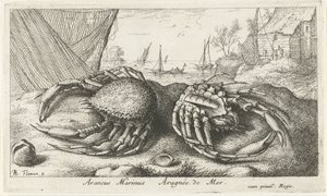 Balık ağının yanında iki örümcek yengeç Araneus Marinus Aragnée de Mer (nesne üzerindeki başlık) Balık ve diğer deniz canlıları - tuzlu su ikinci serisi (dizi başlığı) Poissons de mer (dizi adı) by Albert Flamen